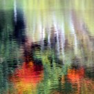 reflections